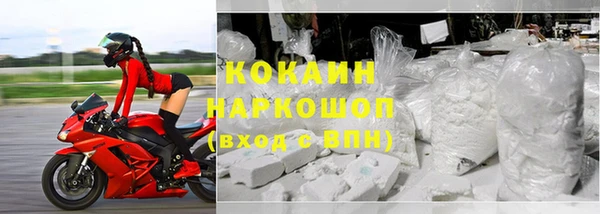 гидра Покачи