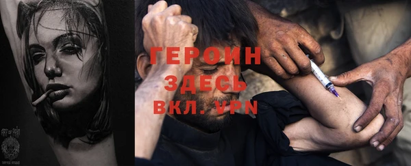 гидра Покачи
