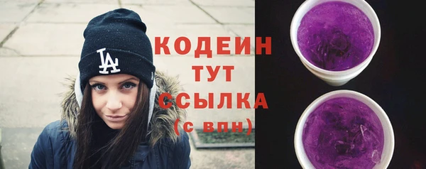 гидра Покачи