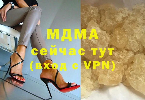гидра Покачи