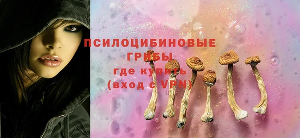 а пвп мука Абаза