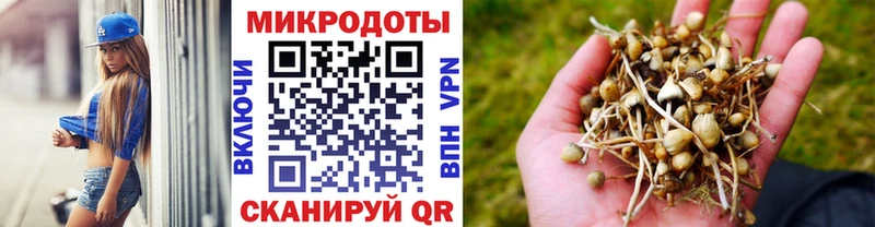 omg зеркало  Талдом  Псилоцибиновые грибы Psilocybe 